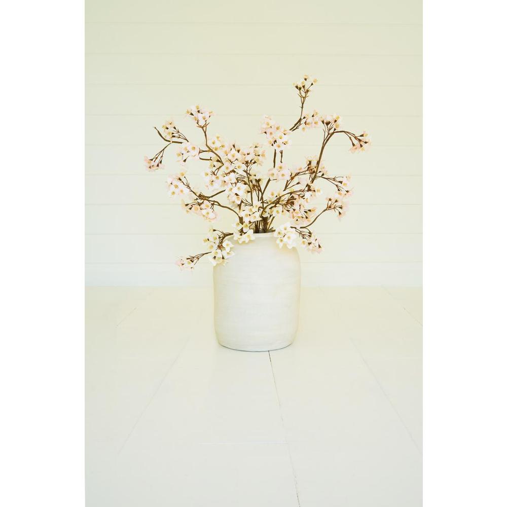 Botanica #3466. Picture 2