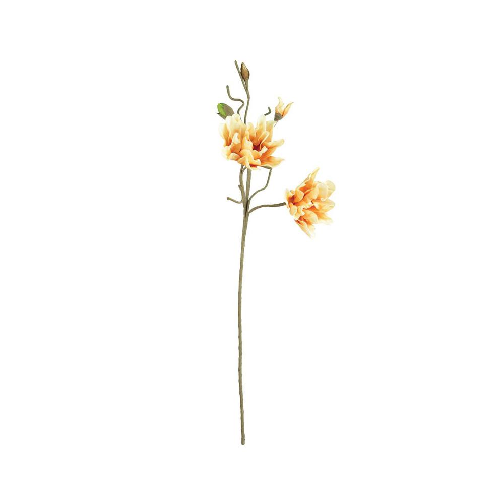 Botanica #3471. Picture 3