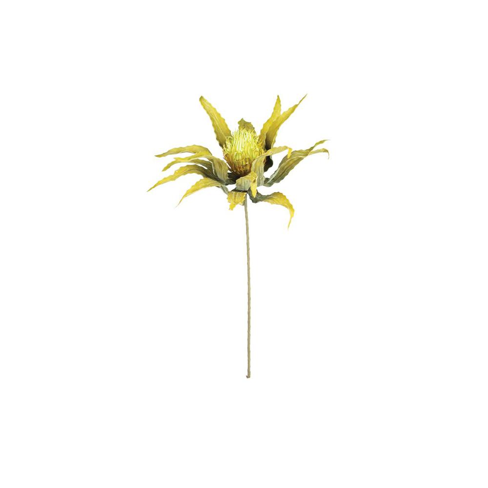 Botanica #3484. Picture 3