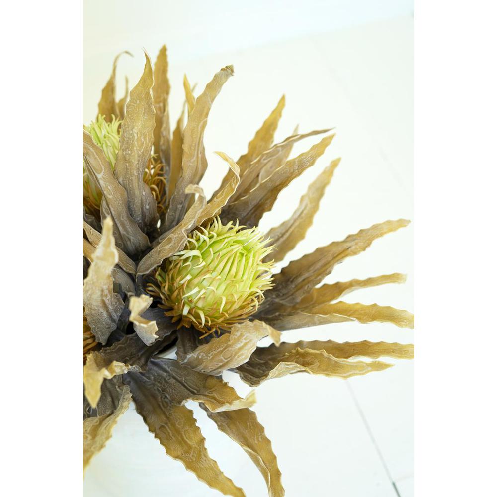 Botanica #3484. Picture 4