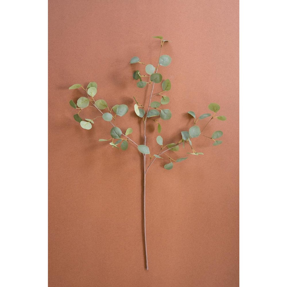Botanica #3508. Picture 1