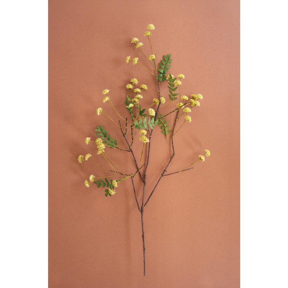 Botanica #3519. Picture 1