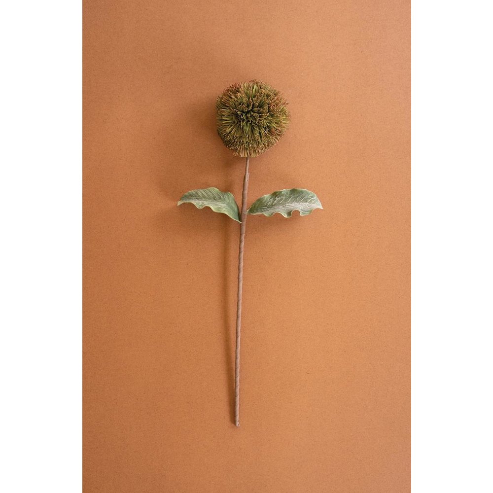 Botanica #3620. Picture 1