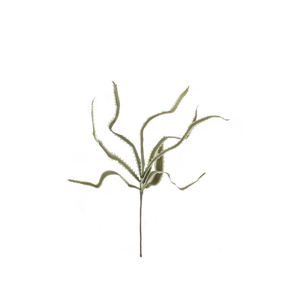 Botanica #3656. Picture 4