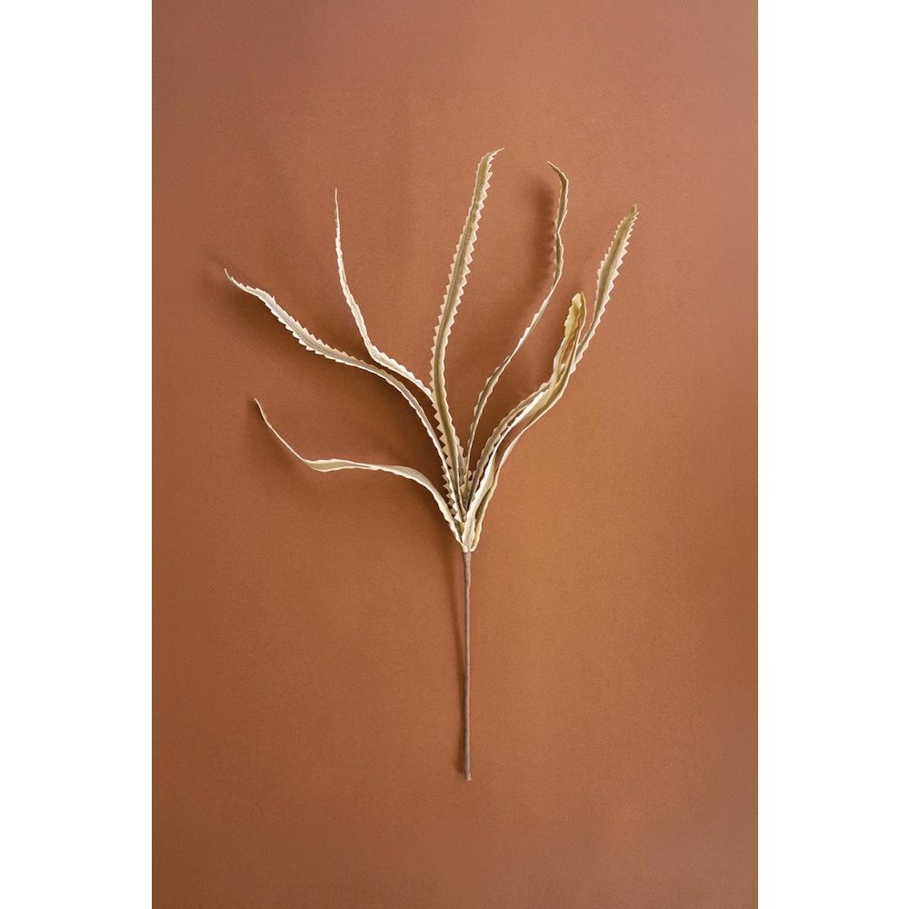 Botanica #3656. Picture 5