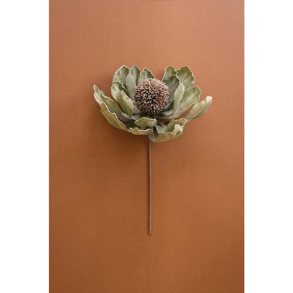 Botanica #3689. Picture 1