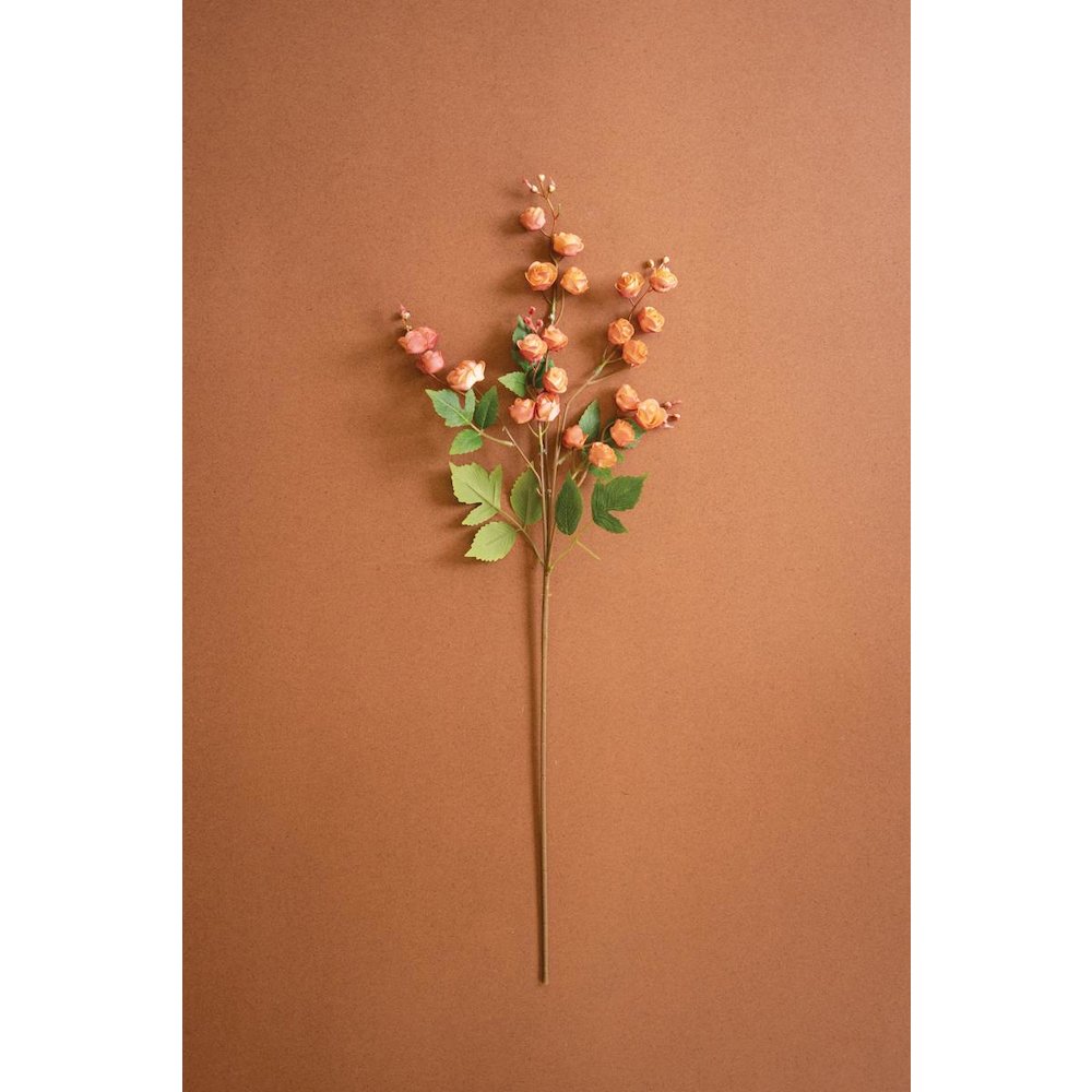 Botanica #3697. Picture 1
