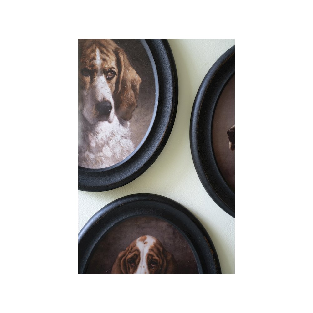 Set Of Four Framed Oval Dog Prints. Picture 1