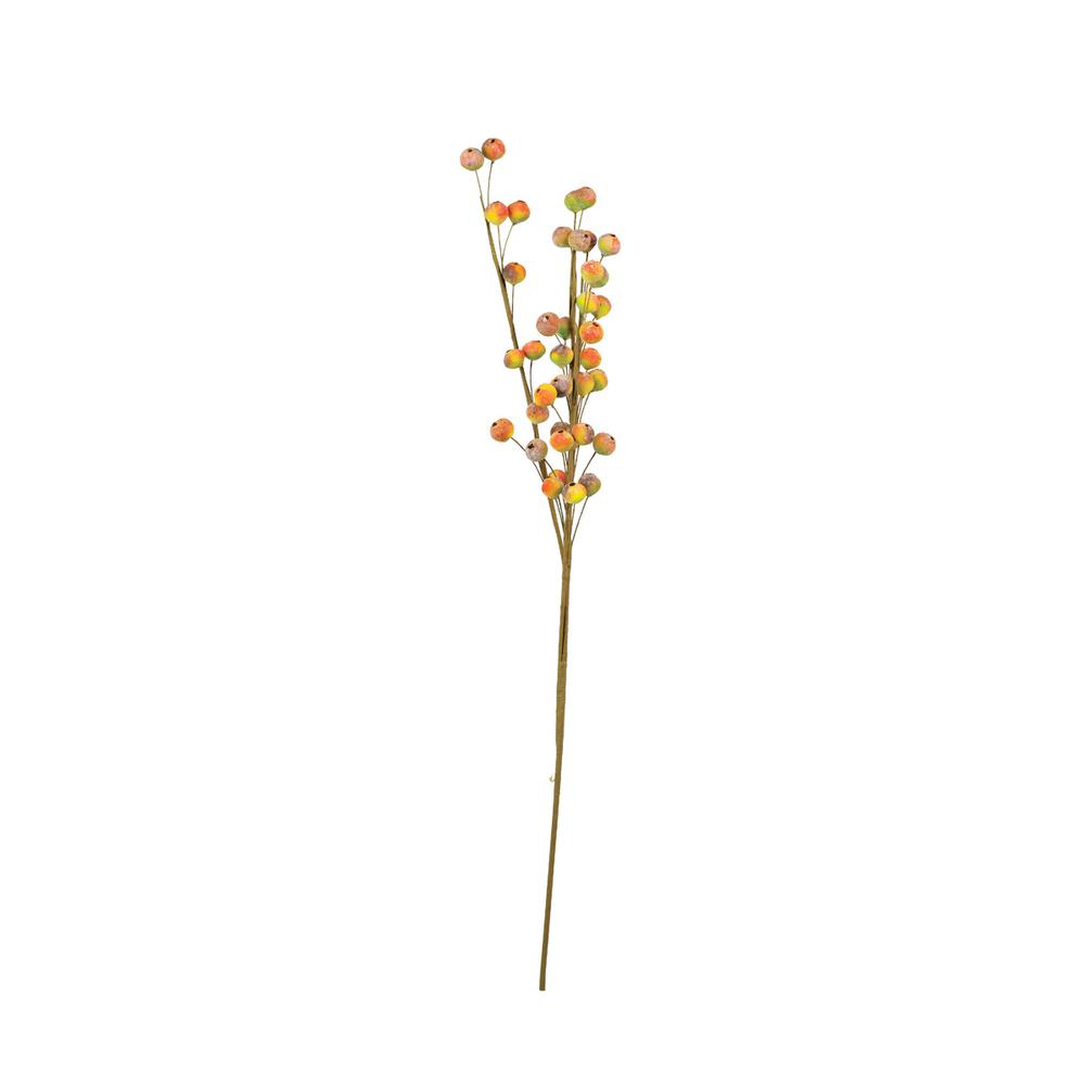 Botanica #2537. Picture 1