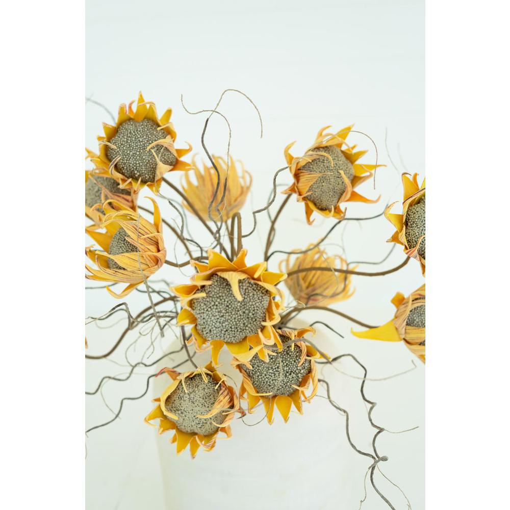 Botanica #2688. Picture 3