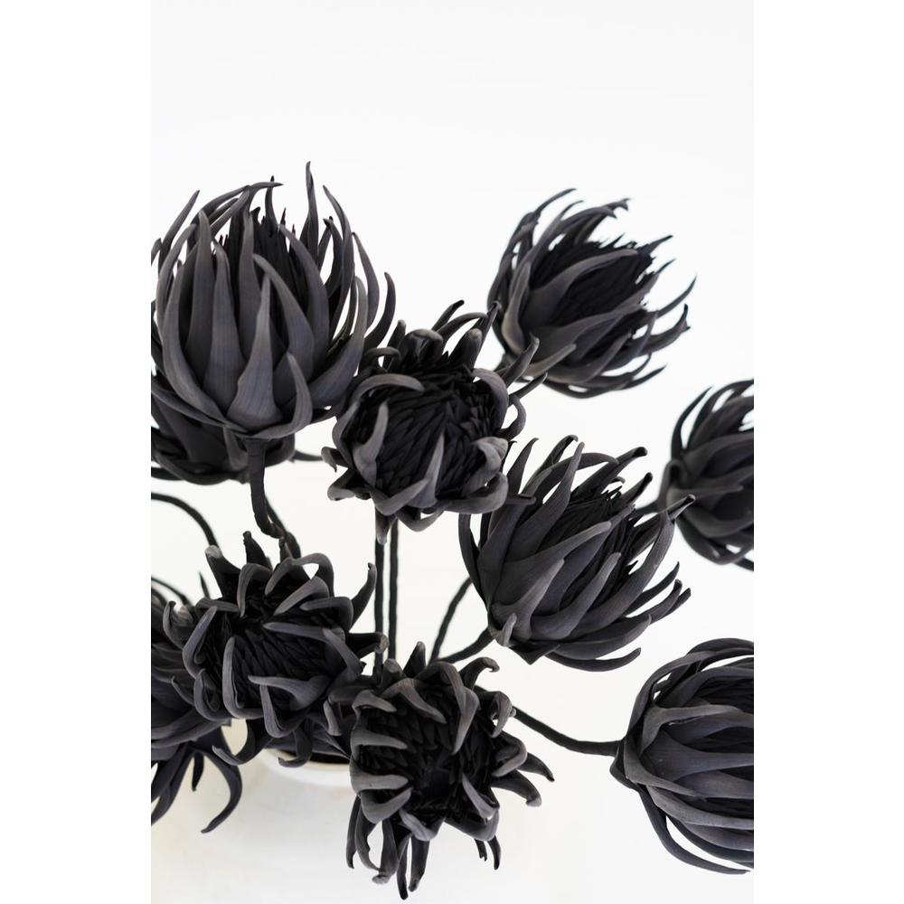 Botanica #2697. Picture 4