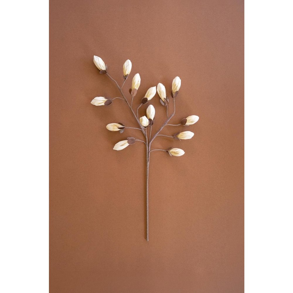 Botanica #2716. Picture 1