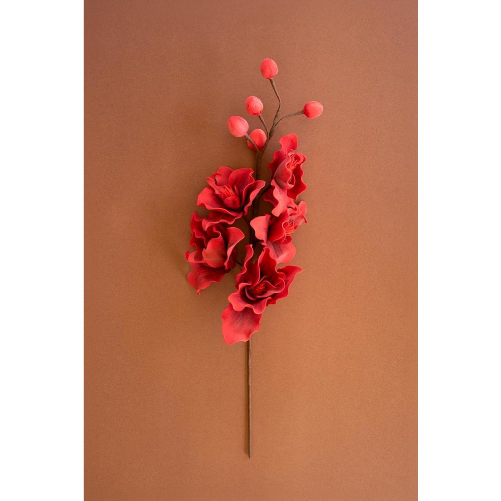 Botanica #2833. Picture 1