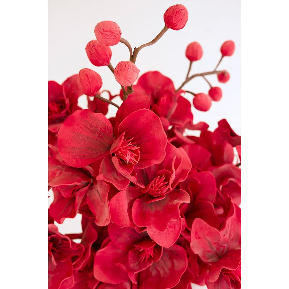 Botanica #2833. Picture 3