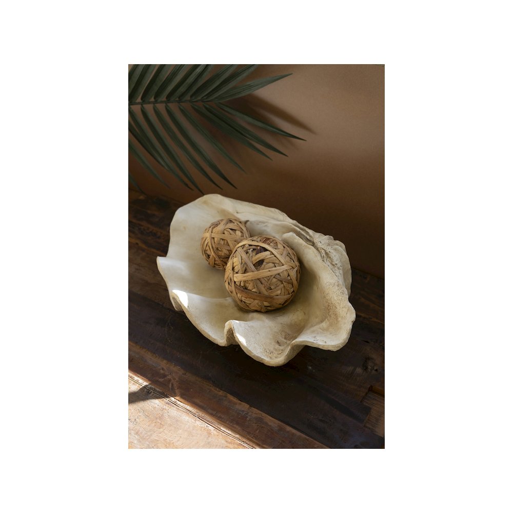Giant Resin Clam Shell. Picture 1