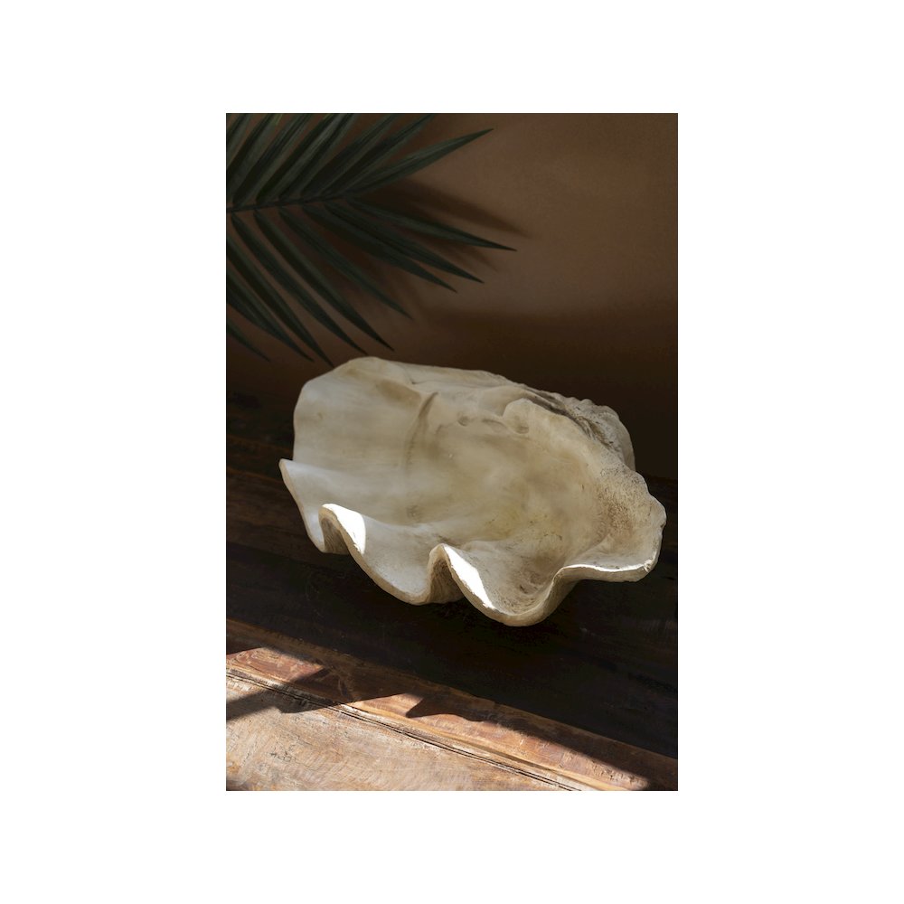 Giant Resin Clam Shell. Picture 2