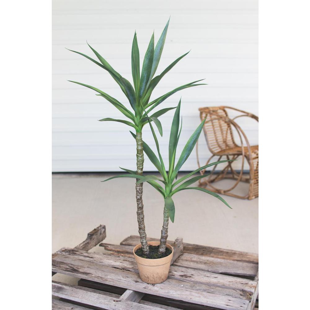 Artificial Heneken Plant With Faux Terracotta Pot. Picture 2