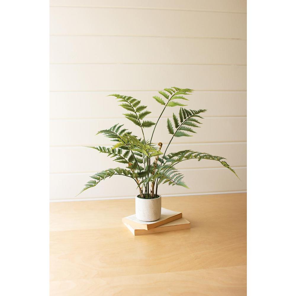 Artificial Fern In A Cement Pot. Picture 2