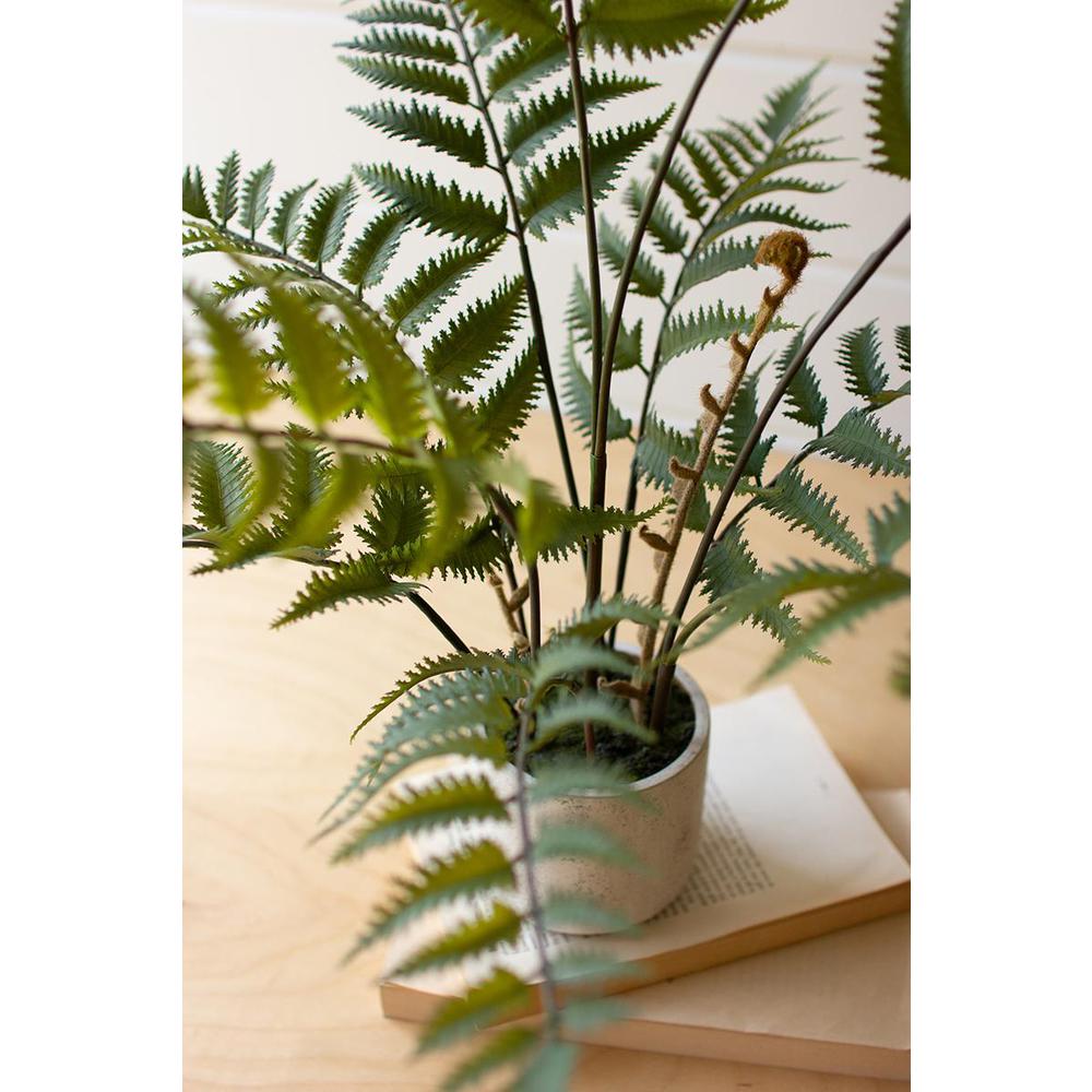 Artificial Fern In A Cement Pot. Picture 3
