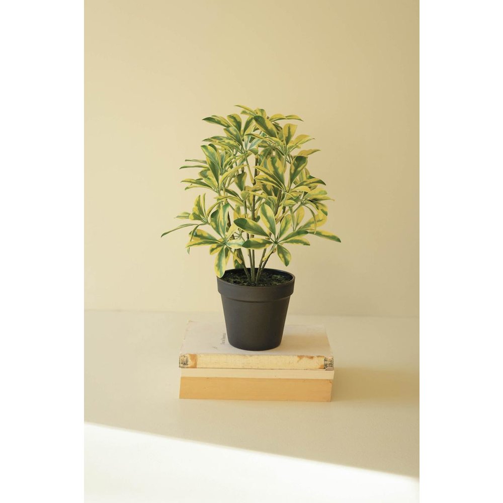 Artificial Schefflera In Black Plastic Pot - 15". Picture 4