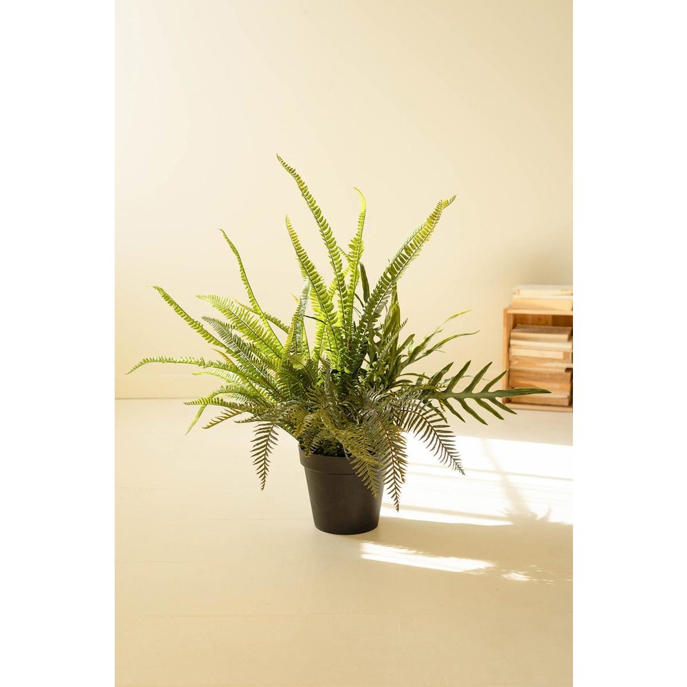 Artificial Fern In Black Pot - 40". Picture 3