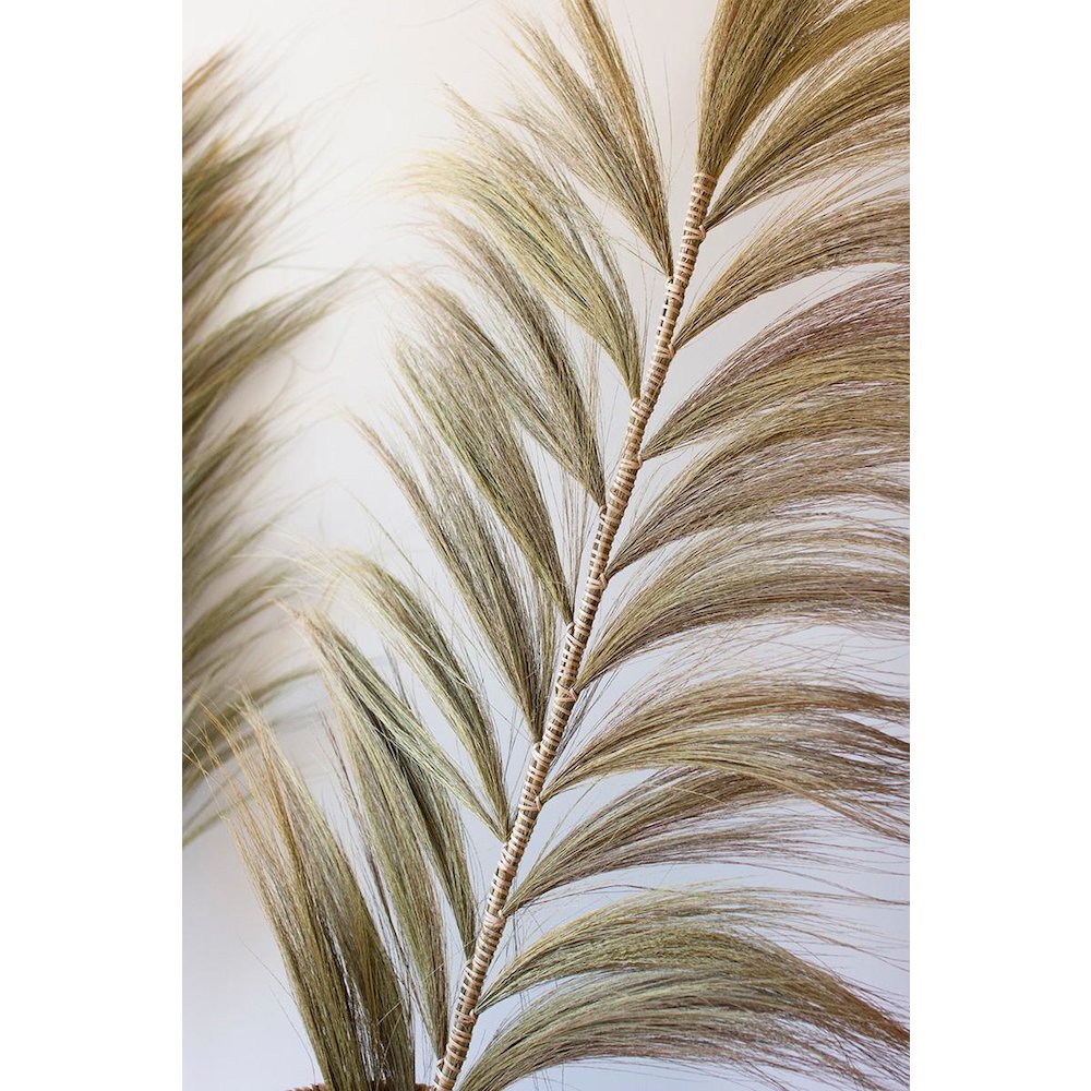 Decorative Fan Palms with Bamboo Stems. Picture 2