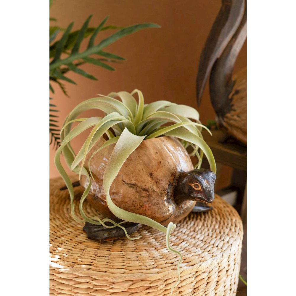 Coco Turtle Planter. Picture 1