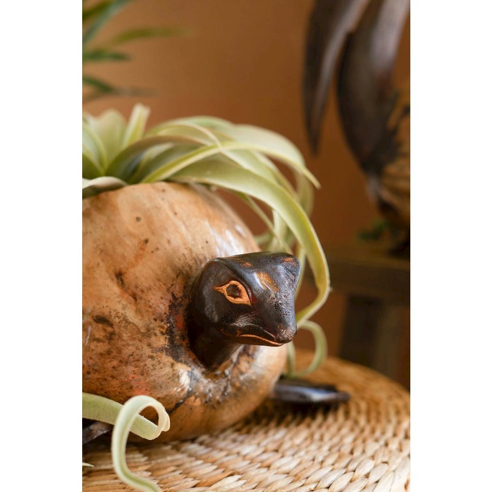 Coco Turtle Planter. Picture 2