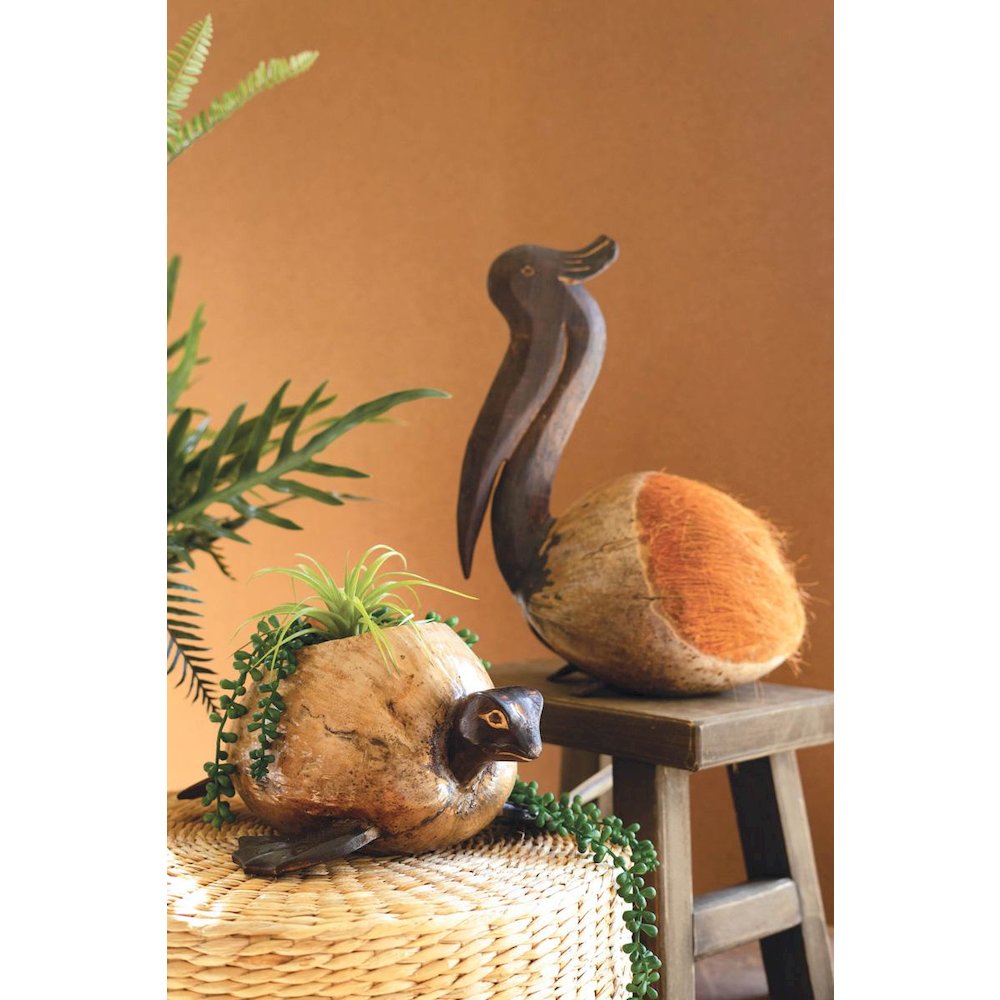 Coco Turtle Planter. Picture 4