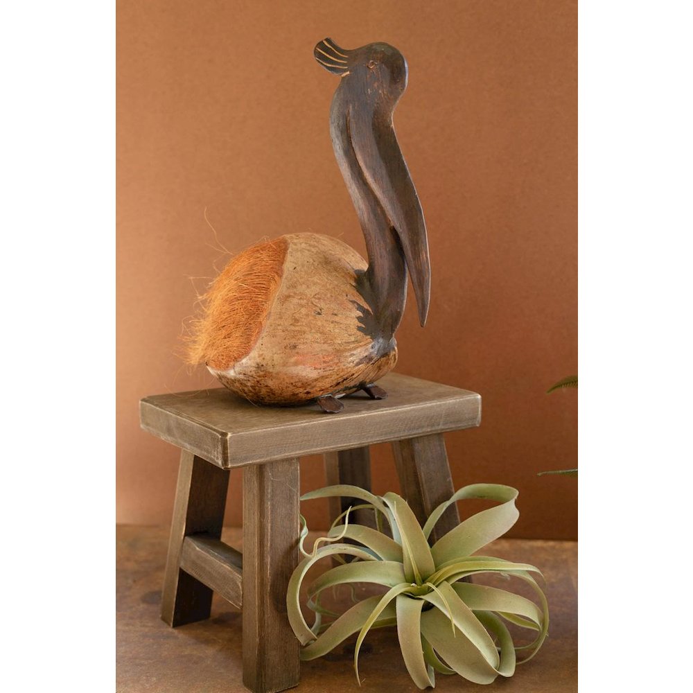 Coco Pelican Sitting. Picture 1