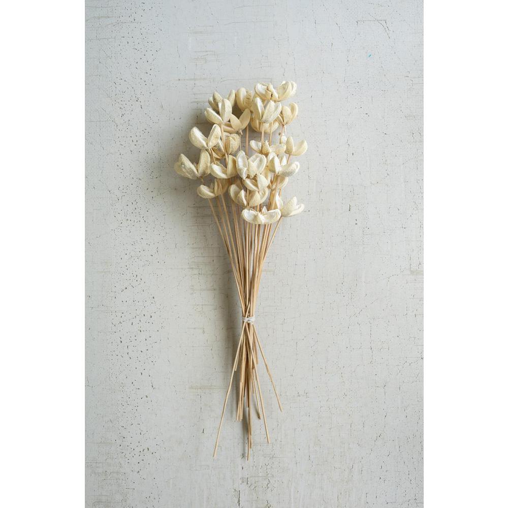 Bundle Of 24 Bleached Bullet Flowers On Stems. Picture 1