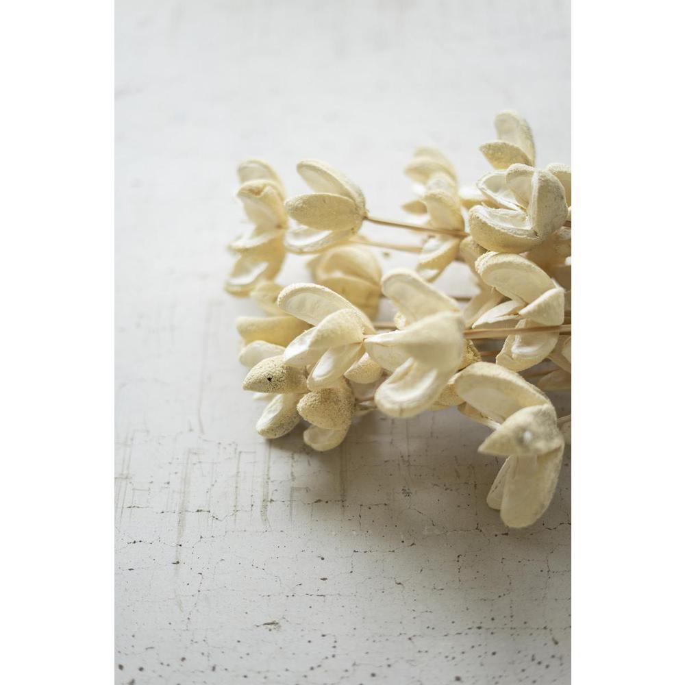 Bundle Of 24 Bleached Bullet Flowers On Stems. Picture 3