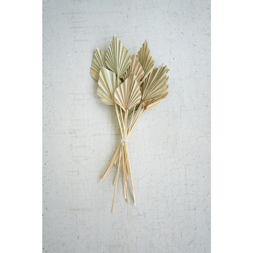 Bundle Of 12 Mini Palm Spears. Picture 1