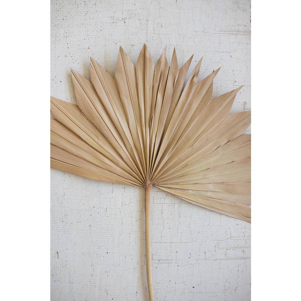 Large Natural Sun Palm Spear. Picture 3