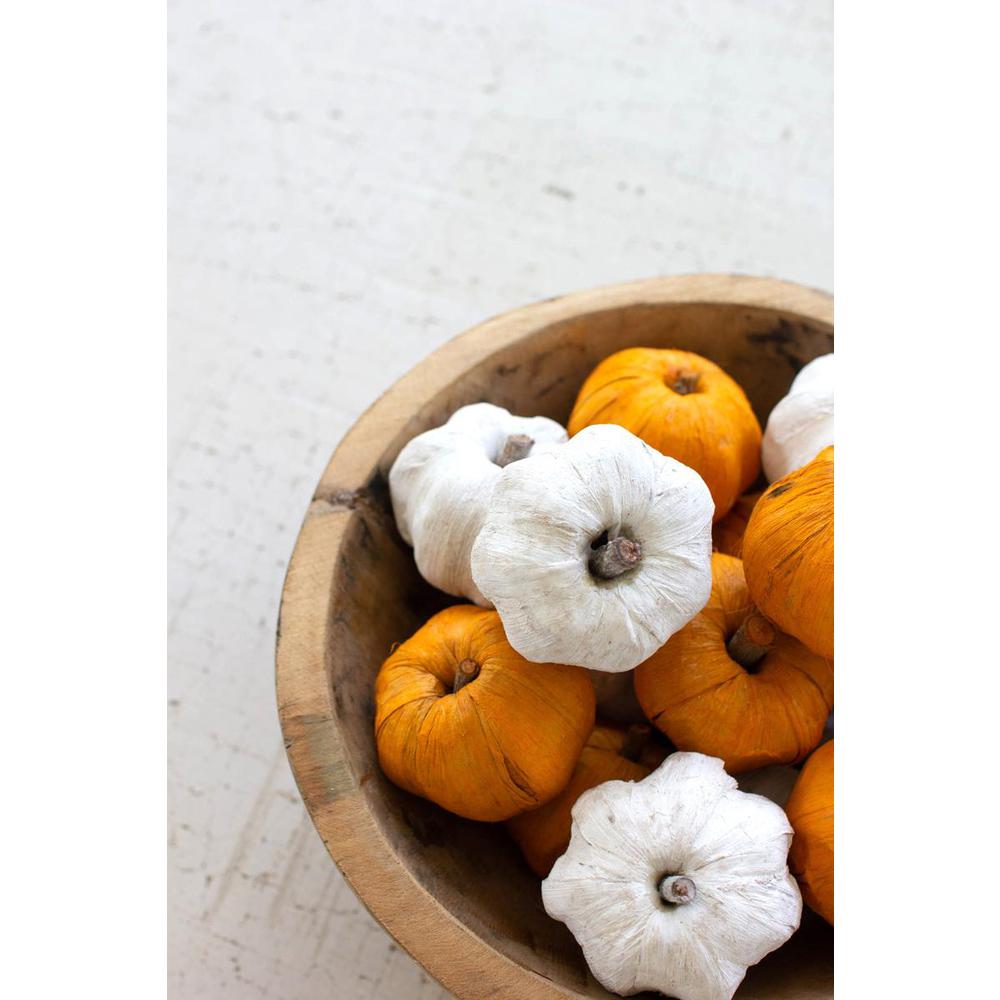 Bag Of Fifteen Dried Miniature Faux Pumpkins - White. Picture 4