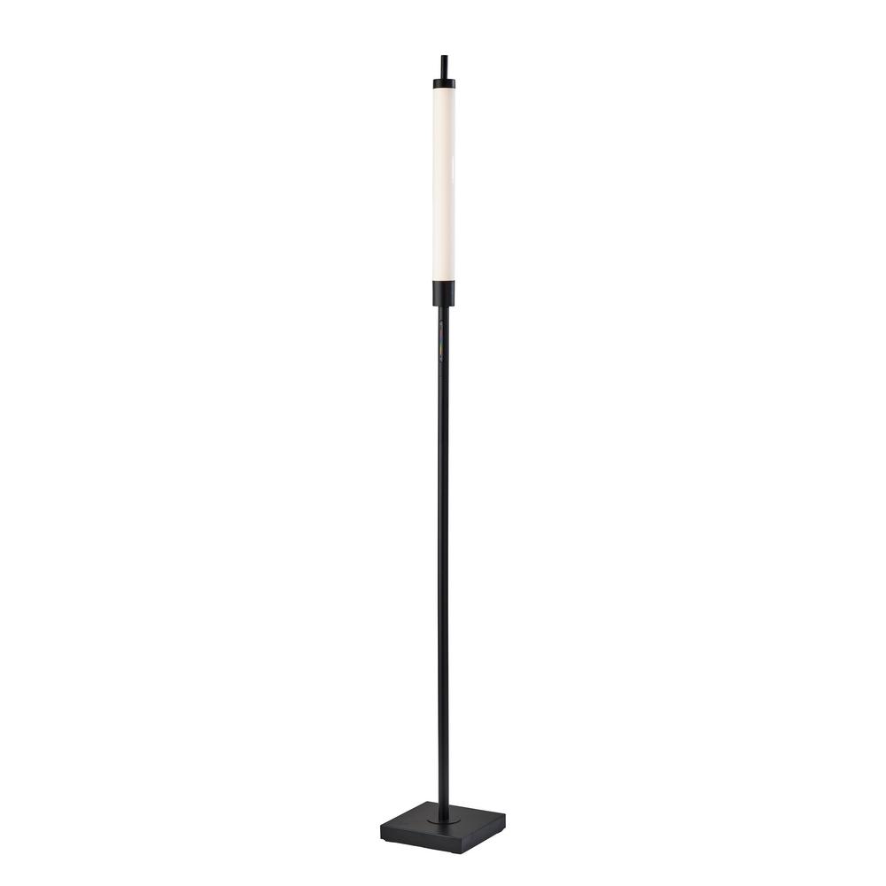 Collin LED Color Changing Floor Lamp. Picture 1