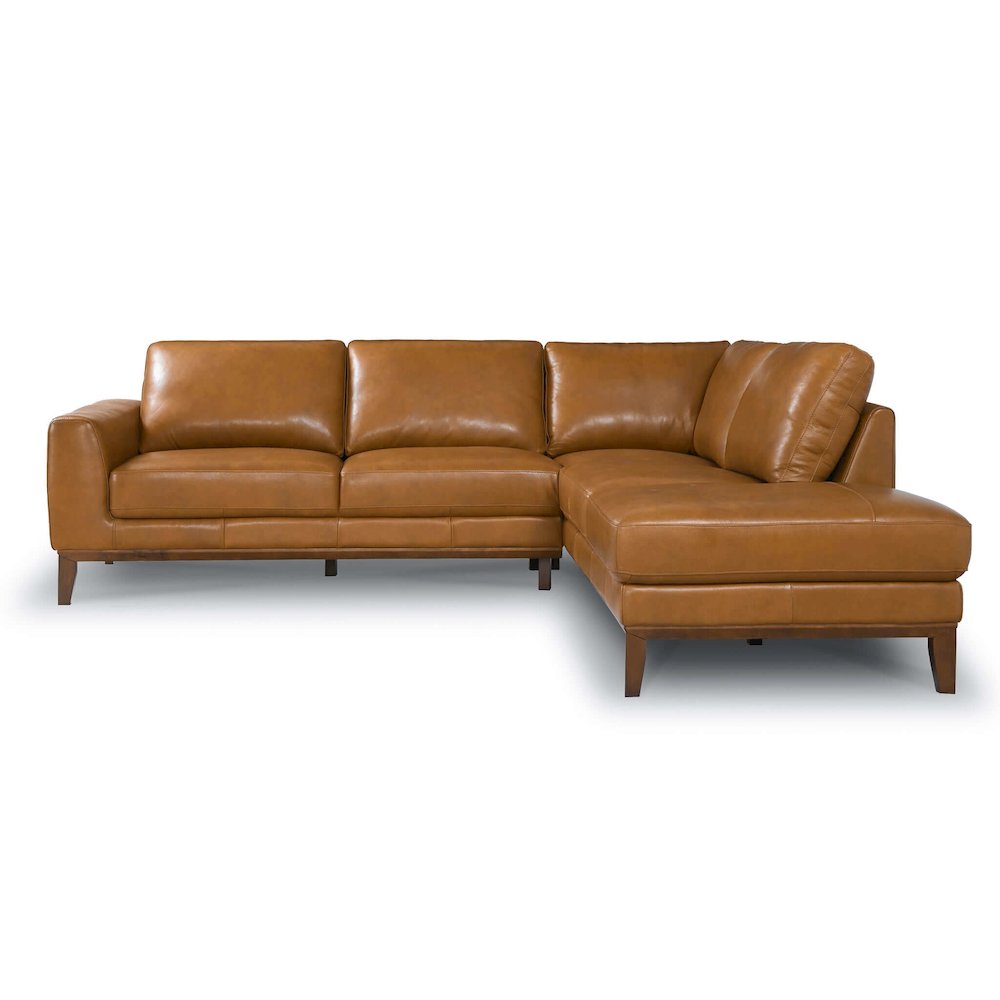 London Leather Sectional (Tan - Right Facing Chaise). Picture 4