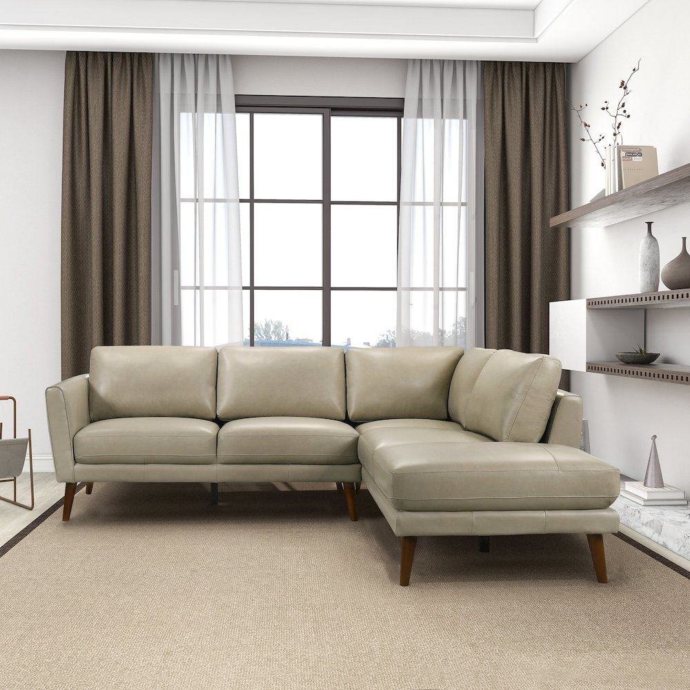 Benson Beige Leather Sectional Sofa Right Facing Chaise. Picture 3
