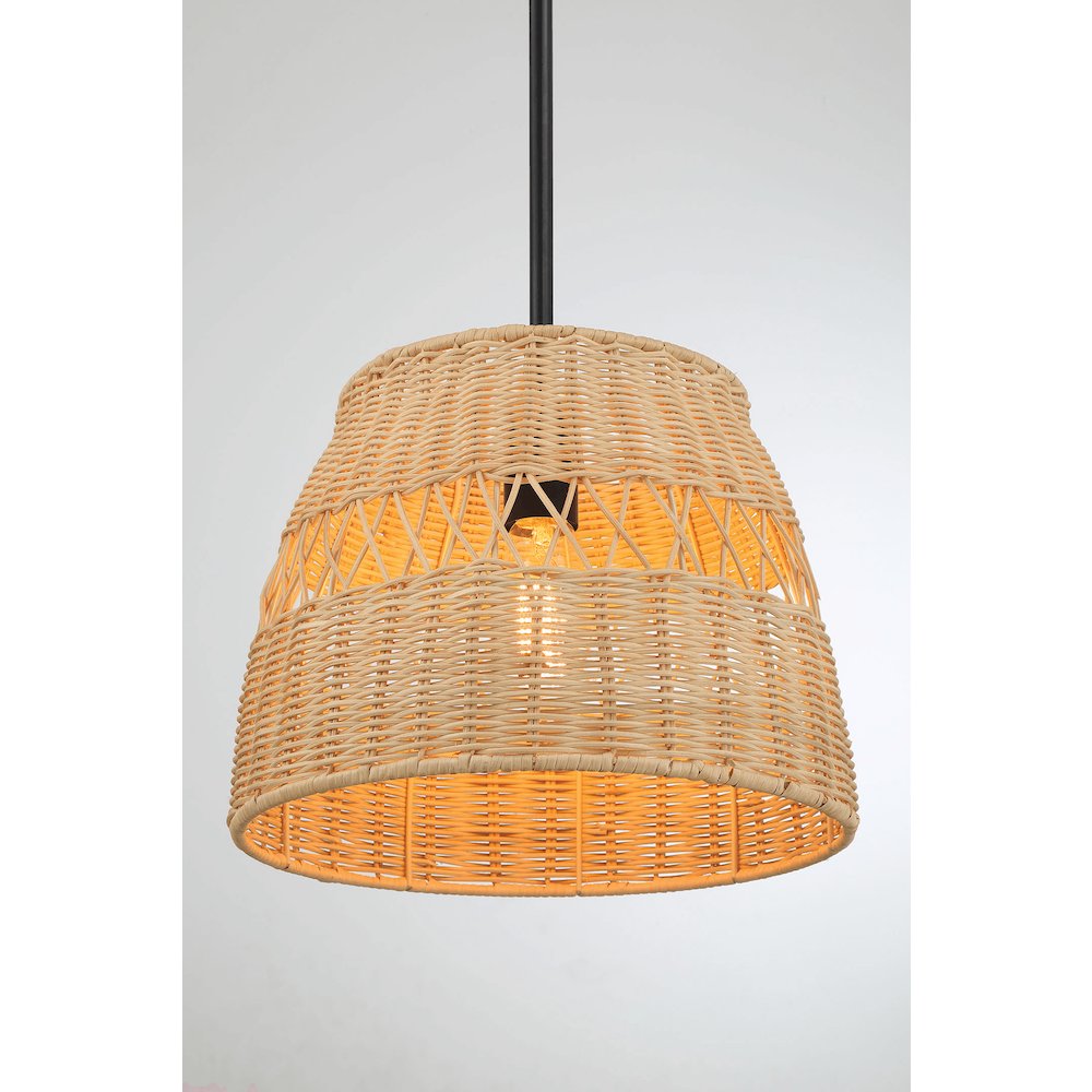 Essence Single Lights Pendant Lamp. Picture 5