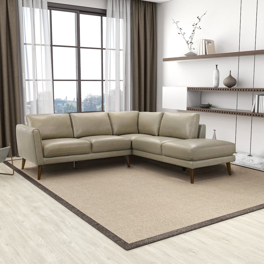 Benson Beige Leather Sectional Sofa Right Facing Chaise. Picture 4