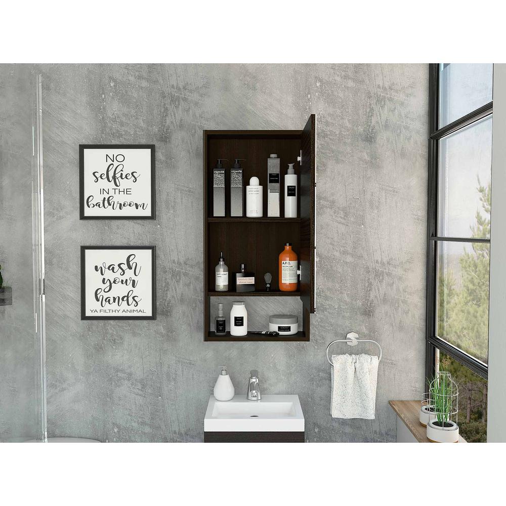 Modesto Medicine Cabinet. Picture 3