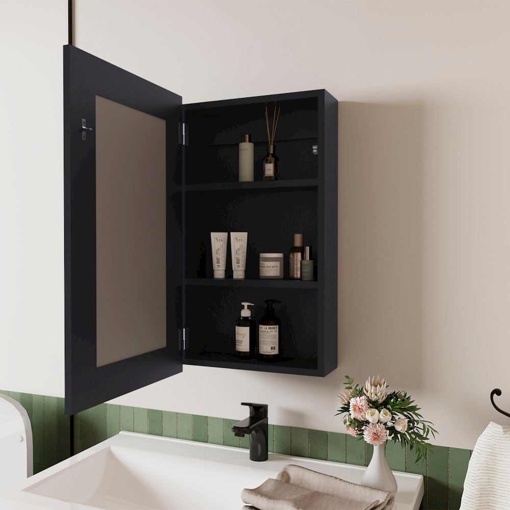 Parks Medicine Cabinet With Included Mirror, Wenge. Picture 3