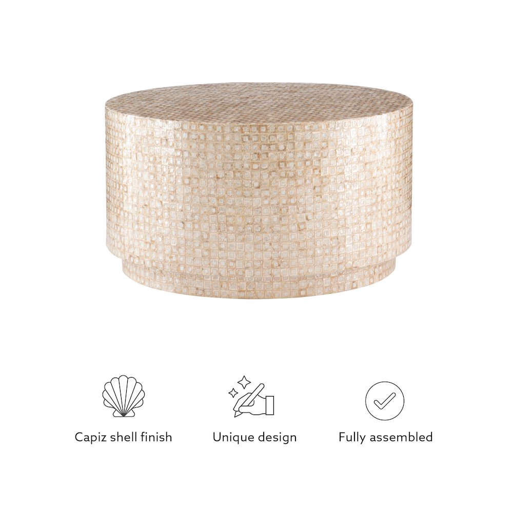 Perrin Capiz Mosaic Coffee Table. Picture 8