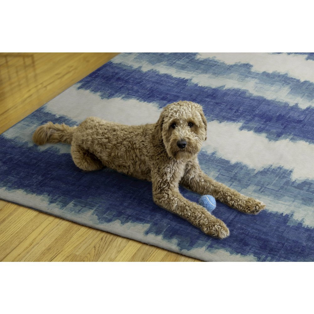 Outdoor Washable Apopka Ivory & Blue 5' X7', Rug. Picture 2