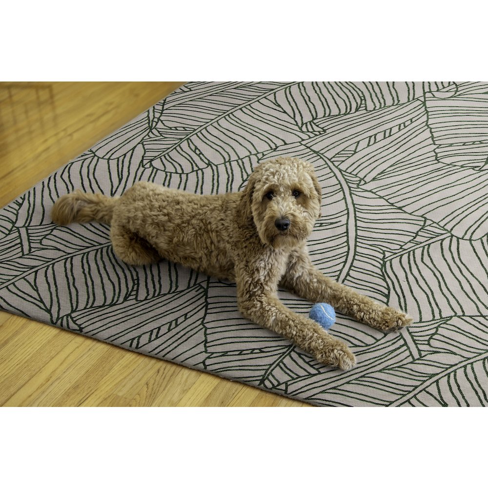 Outdoor Washable Largo Ivory & Green 5' X7', Rug. Picture 2