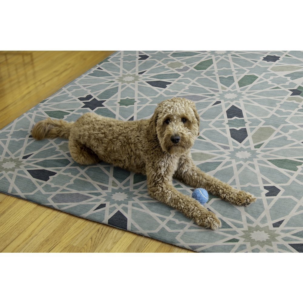 Outdoor Washable Deltona Green & Ivory 7' X 9', Rug. Picture 2