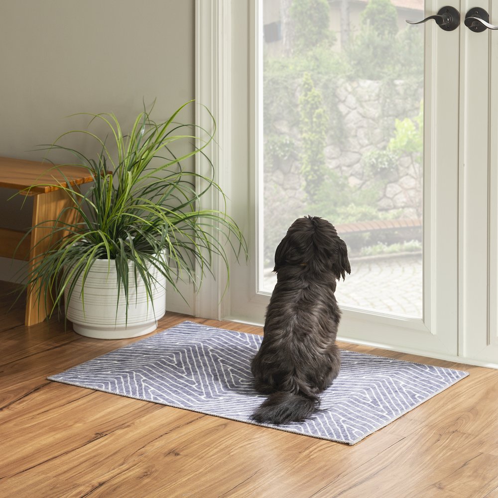Washable Fuller Grey/Ivory 2x3, Rug. Picture 1