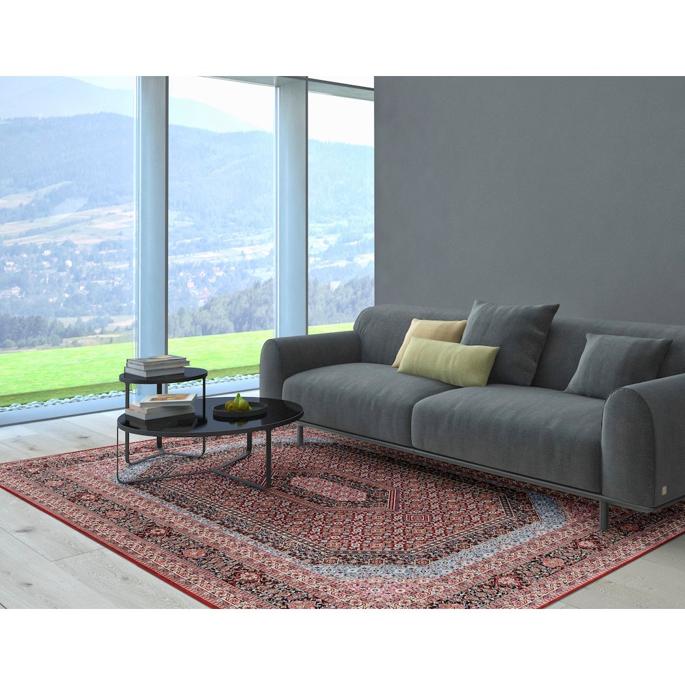 Emerald Milton Red & Blue 6.7x9.7, Rug. Picture 1