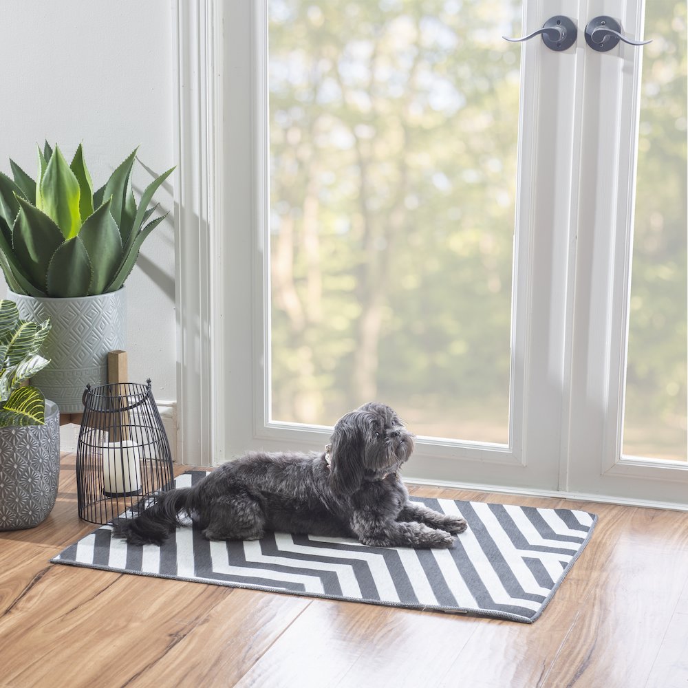 Outdoor Washable Myers Ivory & Black 2' X 3', Rug. Picture 2