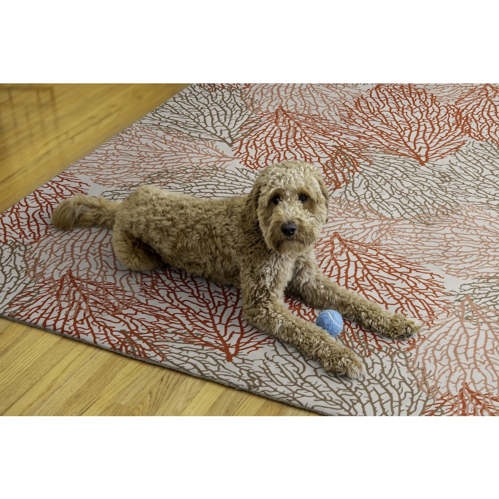 Washable Haylee Ivory/Coral 5x7, Rug. Picture 2